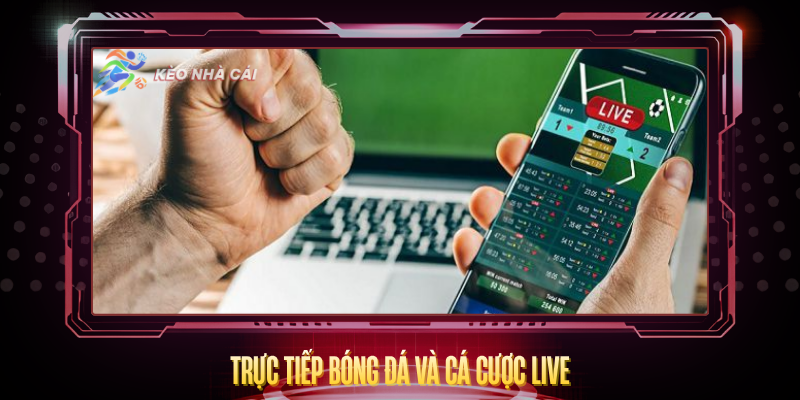 Kèo Nhà Cái petcareclub - tỷ lệ Keonhacai5 Mới Nhất T7/2026 6 Truc Tiep Bong Da Va Ca Cuoc Live